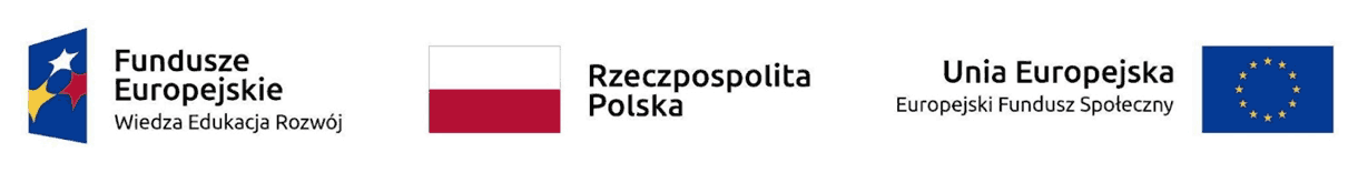 image presenting the logotype of the European Funds, the flag of Poland and the flag of the European Union